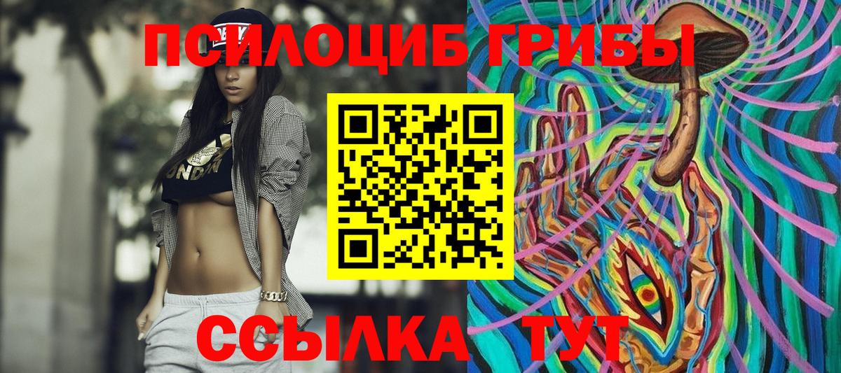 Галлюциногенные грибы Cubensis  Вход с VPN  Зеленокумск 
